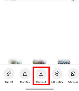 Instagram Reel video download download button