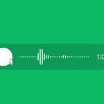 Whatsapp voice note for status feature