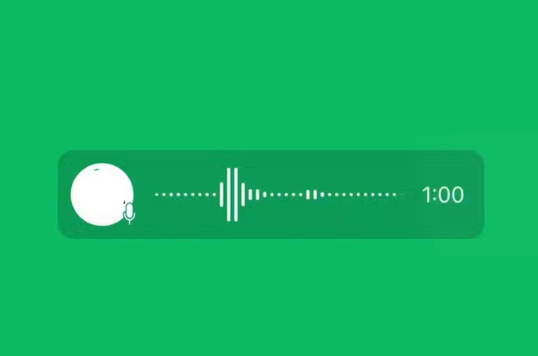 Whatsapp voice note for status feature