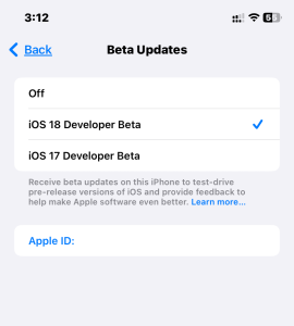 iOS 18 developer beta update screen